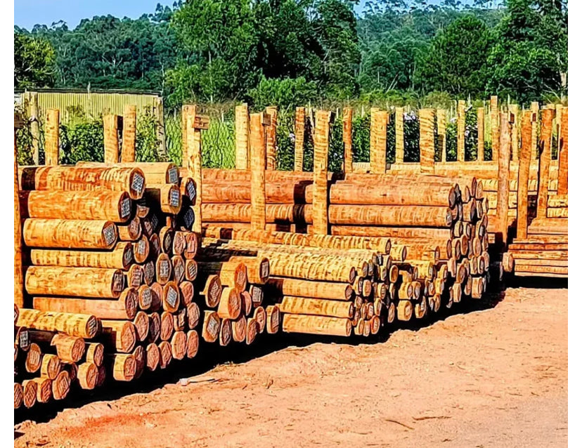 MOURÃO TRATADO (GROSSO)