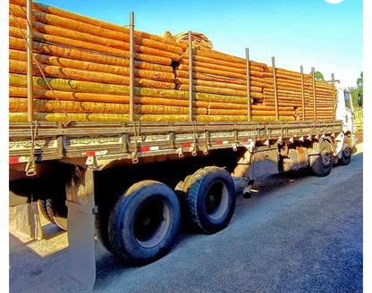 MOURÃO TRATADO (GROSSO)