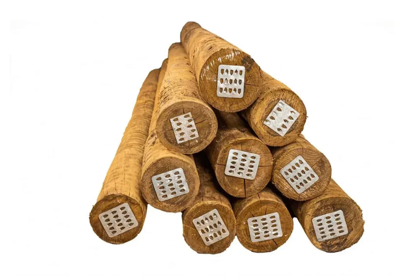 MOURÃO TRATADO (GROSSO)